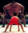 Sumo